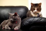 Kikeli And Einstein