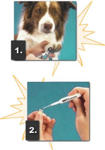 soft_claws_dog_application12