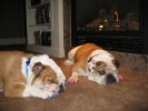 Nemo And Sasha