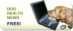 dog-newsletter